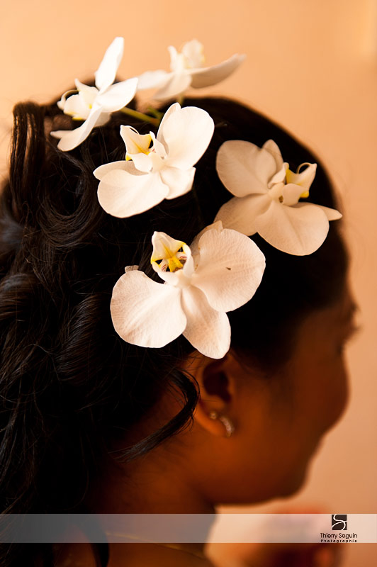 décoration coiffure
